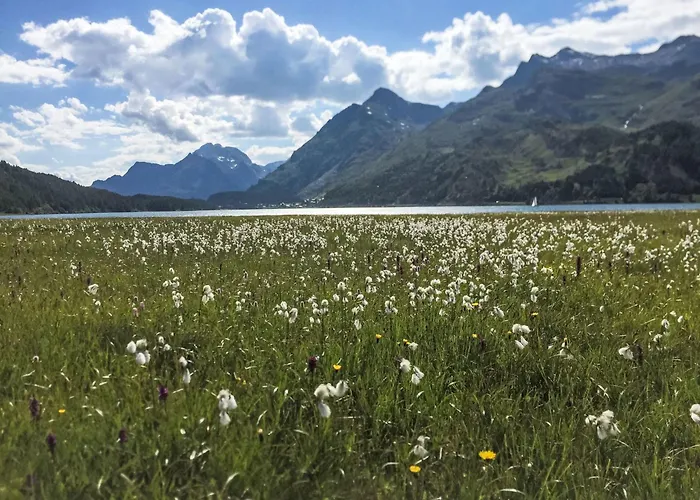 アパート Pra D'sura 141 By Interhome *